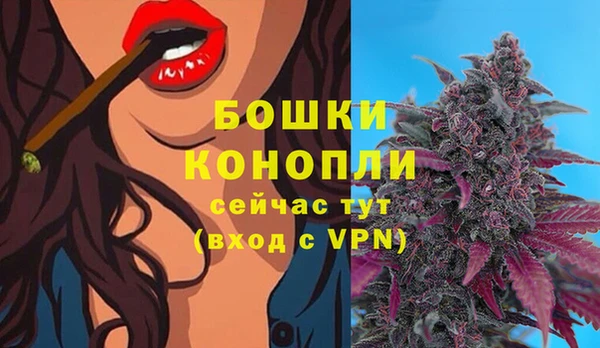 стаф Белоозёрский