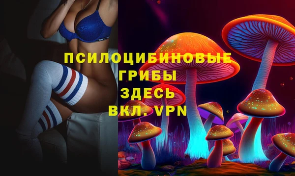 ешки Белокуриха