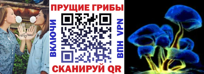 дарк нет официальный сайт  Светлый  Псилоцибиновые грибы Magic Shrooms 